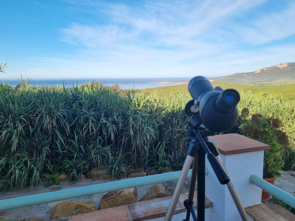 El Escondite Del Sol Tarifa Dış mekan fotoğraf