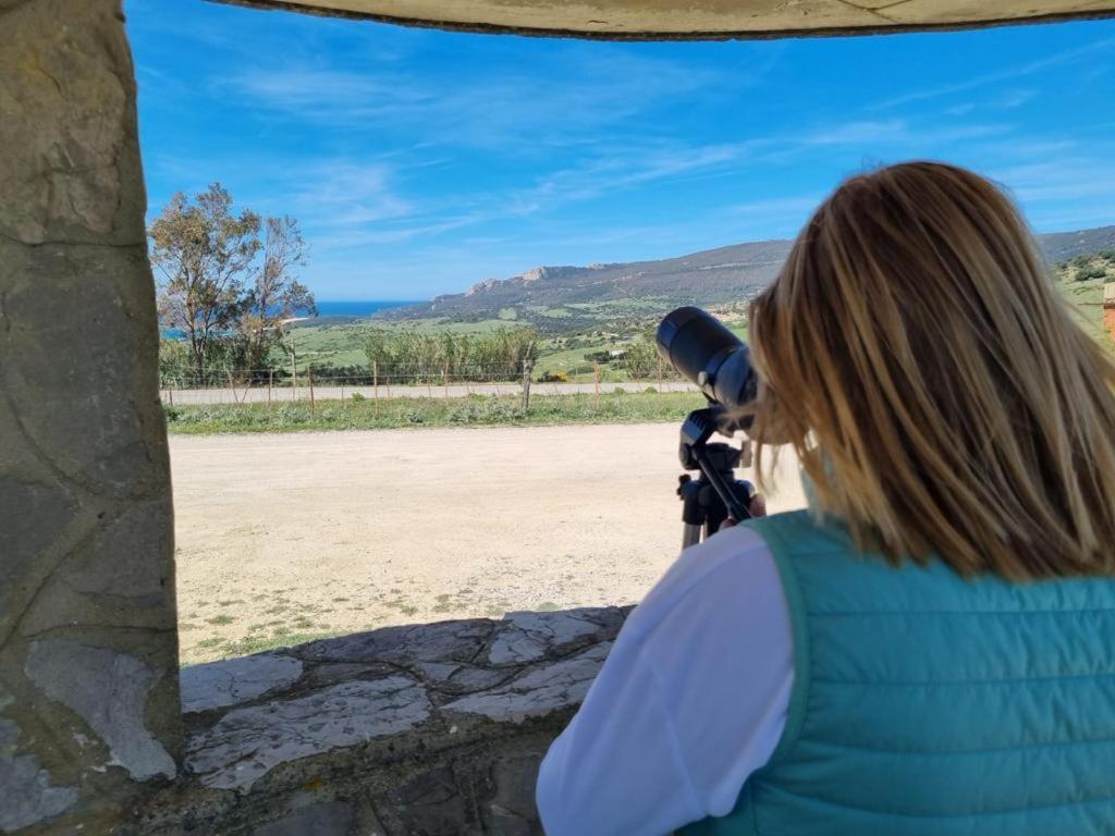 El Escondite Del Sol Tarifa Dış mekan fotoğraf
